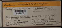 Image Associated With the Occurence